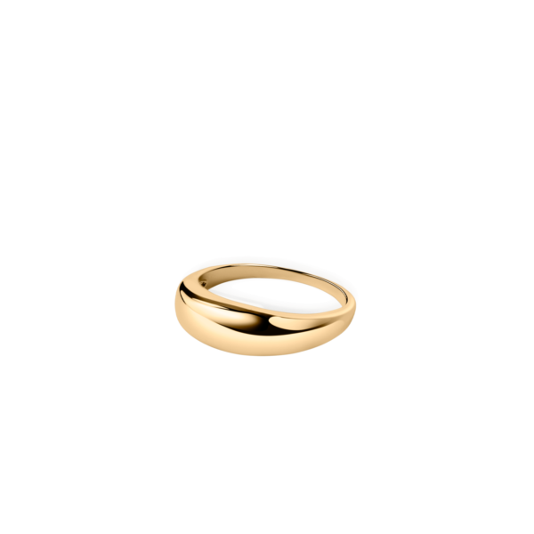 Sleek Ring